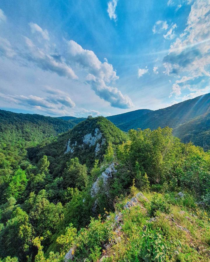 Restoran Sa Prenocistem Gornjak Krepoljin Exterior foto